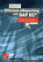 Efficient Ereporting With Sap Ec�: Strategic Direction and Implementation Guidelines (Xefficient Business Computing)