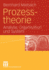 Prozesstheorie: Analyse, Organisation Und System (German Edition)