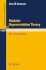 Modular Representation Theory: New Trends and Methods (Volume 1081)