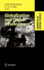 Globalization and Urban Development (Advances in Spatial Science)