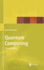 Quantum Computing, Second Edition (Natural Computing Series)