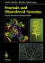Fractals and Disordered Systems