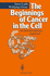Beginnings of Cancer in the Cell: an Interdisciplinary Approach