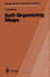 Self-Organizing Maps (Springer Series in Information Sciences)