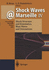 Shock Waves at Marseille IV/Shock Structure and Kinematics, Blast Waves and Detonations