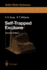 Self-Trapped Excitons