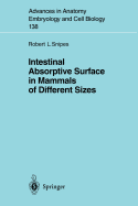 Intestinal Absorptive Surface in Mammals of Differ