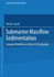 Submarine Massflow Sedimentation: Computer Modelling and Basin-Fill Stratigraphy