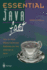 Essential Java Fast: How to Write Object Oriented Software for the Internet (Essential Series)