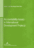 Accountability Issues in International Development Projects