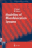 Modelling of Microfabrication Systems