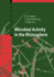 Microbial Activity in the Rhizoshere