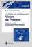 Vision as Process