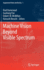 Machine Vision Beyond Visible Spectrum