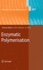 Enzymatic Polymerisation: 237 (Advances in Polymer Science, 237)