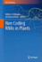 Non Coding Rnas in Plants (Rna Technologies)