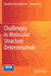 Challenges in Molecular Structure Determination