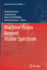 Machine Vision Beyond Visible Spectrum