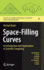 Space-Filling Curves