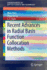 Recent Advances in Radial Basis Function Collocati
