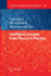 Intelligent Systems: From Theory to Practice