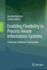 Enabling Flexibility in Process-Aware Information