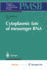 Cytoplasmic Fate of Messenger Rna (Progress in Molecular and Subcellular Biology)