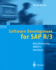 Software Development for Sap R/3? ?