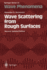 Wave Scattering From Rough Surfaces