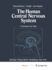 The Human Central Nervous System: a Synopsis and Atlas