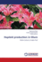 Haploid Production in Lilium: Pollen Culture a Viable Tool