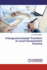 Intergovernmental Transfers in Local Government Finance