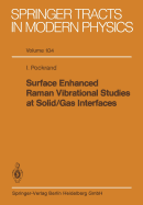 Surface Enhanced Raman Vibrational Studies at Solid Gas Interfaces