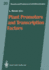 Plant Promoters and Transcription Factors