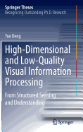 High-Dimensional and Low-Quality Visual Information Processing