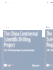 The China Continental Scientific Drilling Project