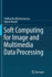 Soft Computing for Image and Multimedia Data Processing