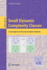 Small Dynamic Complexity Classes: An Investigation Into Dynamic Descriptive Complexity