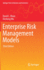 Enterprise Risk Management Models (Springer Texts in Business and Economics)