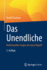 Das Unendliche: Mathematiker ringen um einen Begriff