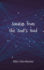 Sonatas from the Soul's Void