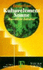 Kulturelement Sonne: Das Solare Zeitalter (Texte + Thesen) (German Edition)