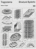 Tragsysteme Structure Systems (Dt. /Engl. )