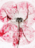 Brigitte Lustenberger: an Apparition of Memory