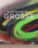 Katharina Grosse (Englische Ausgabe)