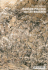 Jackson Pollock and Lee Krasner