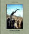 George Rodger Nuba & Latuka: the Color Photographs