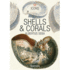 Shells & Corals (Icons)