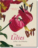 Lilies