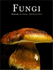 Fungi (Evergreen)